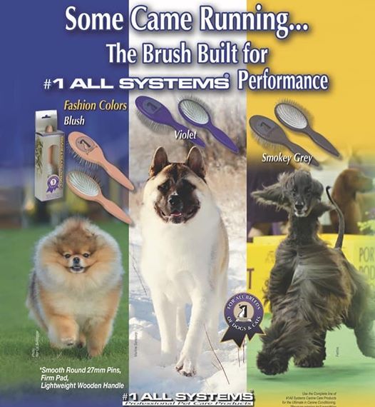 #1allsystems2